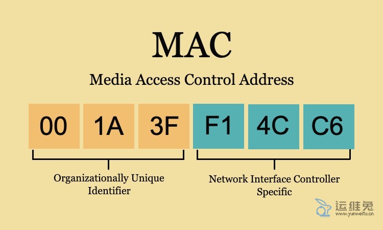 MAC地址是什么，MAC地址怎么查？