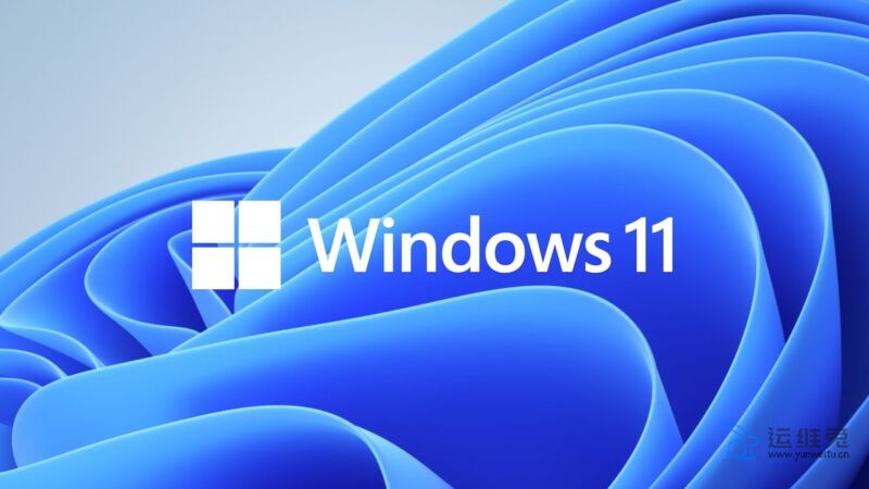 Windows 11家庭版和专业版区别有哪些，哪个版本好用？